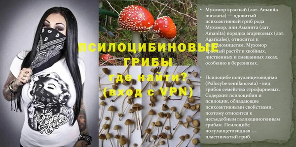 скорость Алексин