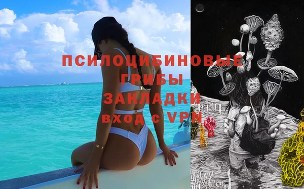 амфетамин Алексеевка