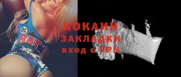 прущий лед Алзамай