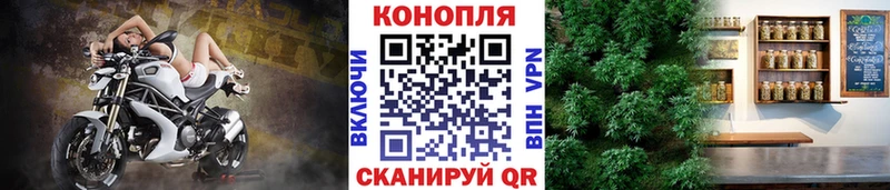 Бошки Шишки ГИДРОПОН  mega онион  Андреаполь 